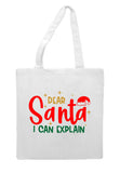 Dear Santa I can explain style one hat tote style shopping bag